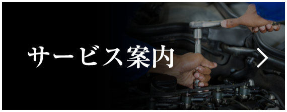 サービス案内